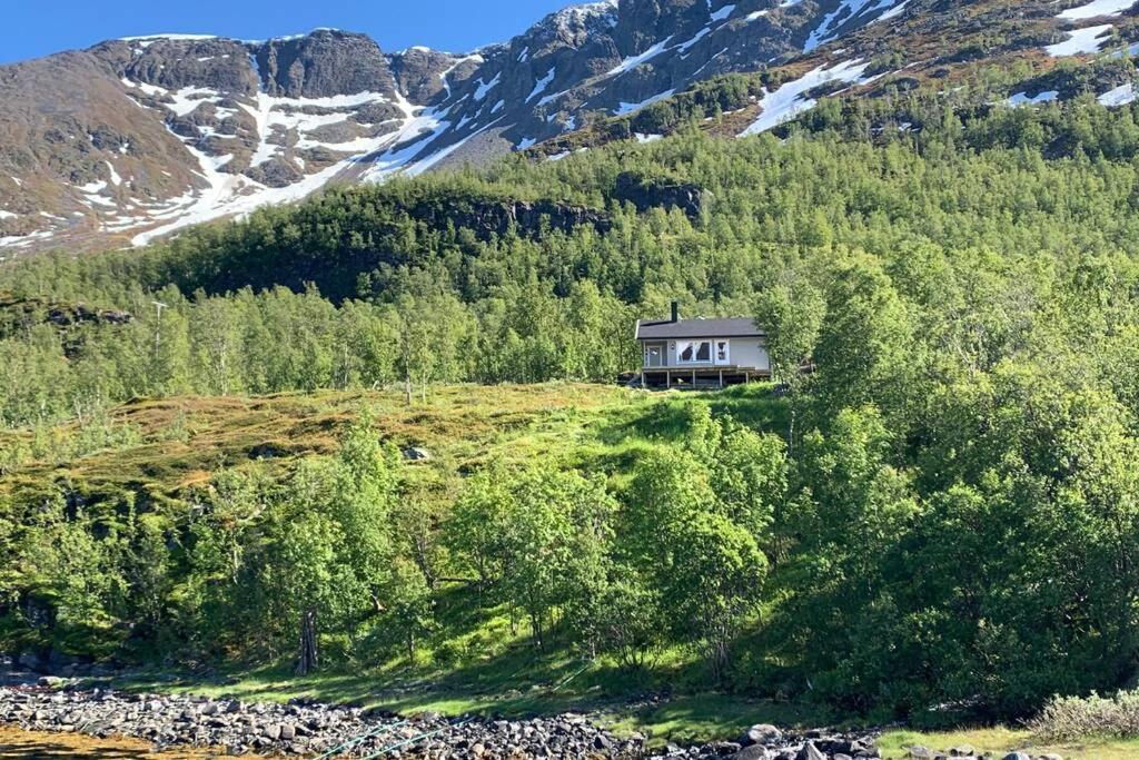 Cabin In Jokelfjord Villa Exteriör bild